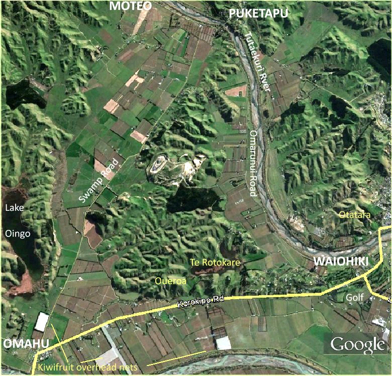 birds-eye view of the local Lake te Rotokare area.