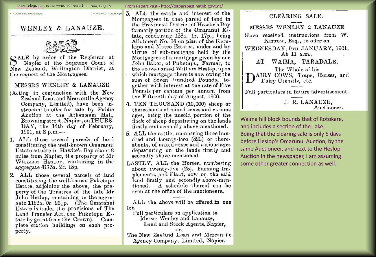 Newspaper cutting of sale of Omarunui in 1901