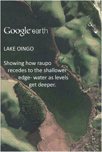 Lake Oingo, showing how raupo receds to the edges with deeper water levels.