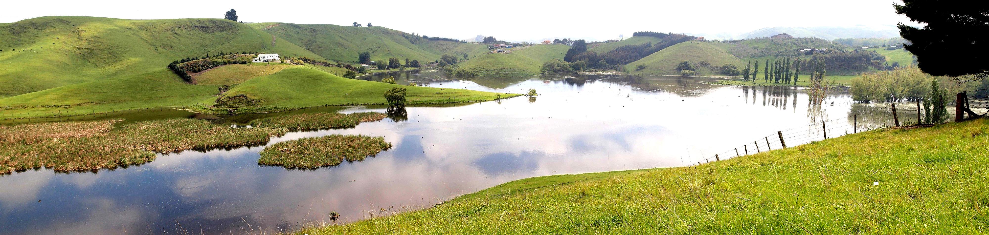 Lake Te Rotokare (fences digitally removed).
