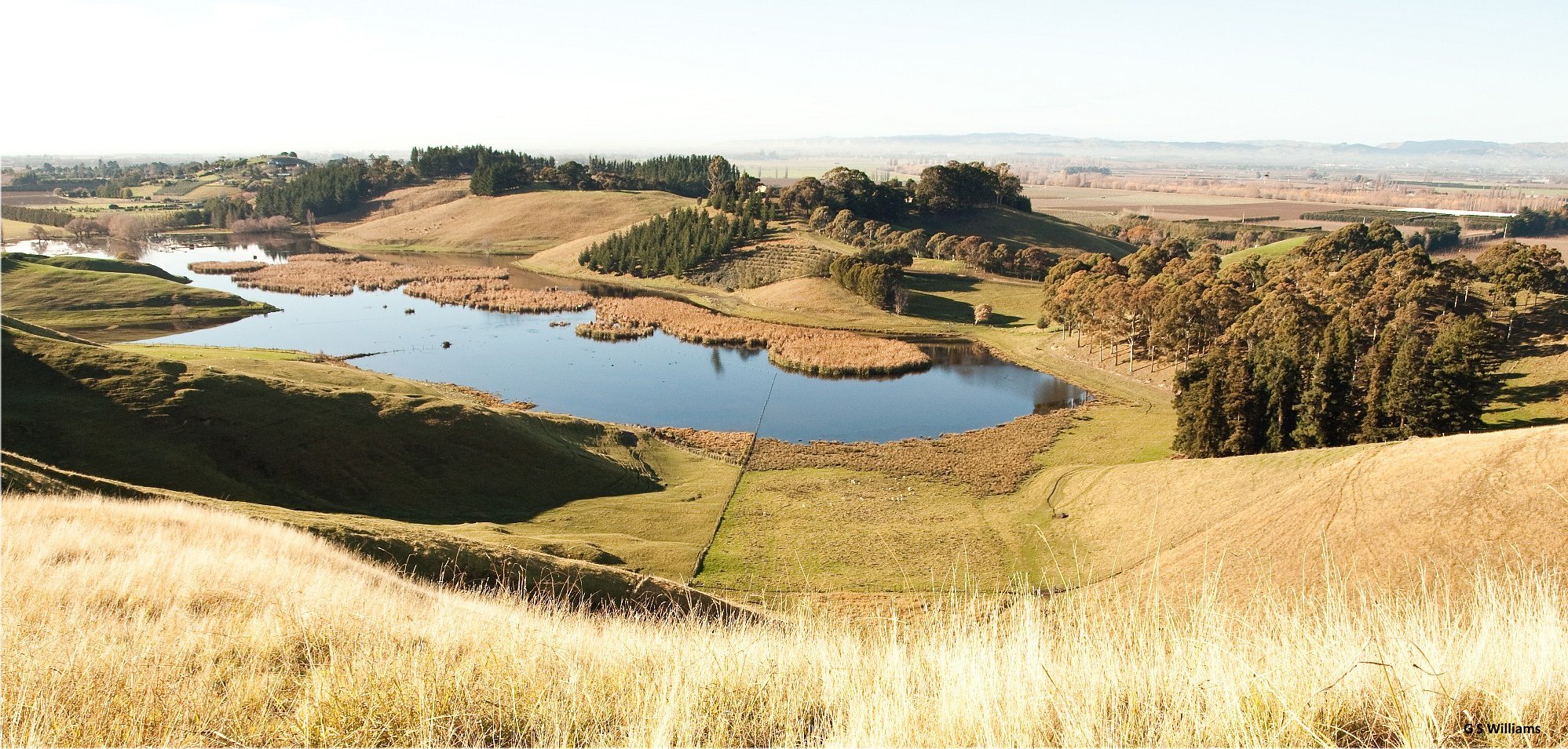 Lake Te Rotokare June 2010