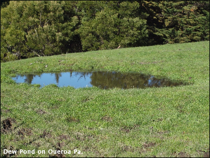 Dew Pond on Oueroa Pa.